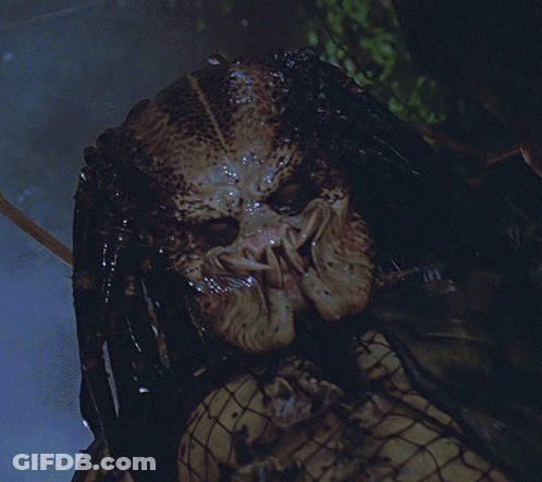 A Close Up Of A Predator With A Very Large Mouth GIF