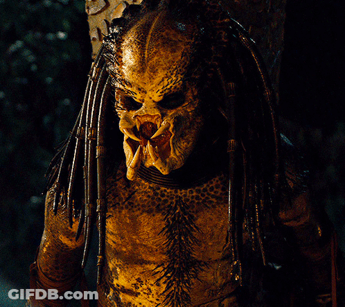 A Close Up Of A Predator With A Very Sharp Teeth GIF