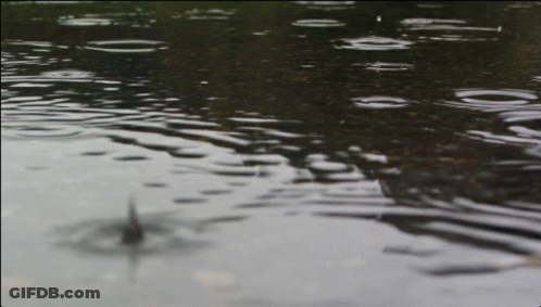 A Close Up Of A Puddle Of Water With A Drop Of Water Falling Into It GIF