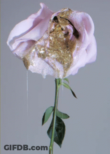 A Close Up Of A Purple Rose With Gold Powder On It GIF