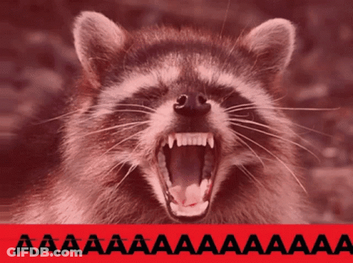 A Close Up Of A Raccoon With Its Mouth Open And A Red Background With The Letters Aaa On It GIF