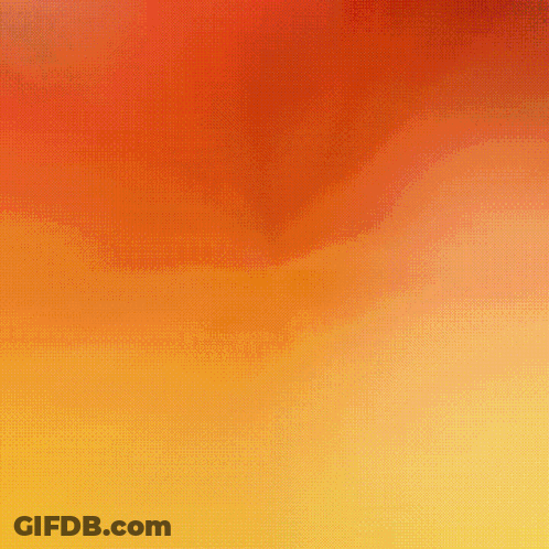 A Close Up Of A Red And Yellow Parrot With A Green Leaf On Its Head GIF