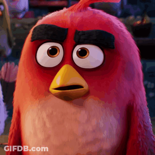 Red Angry Bird Surprised Close Up GIF