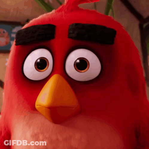 Red Angry Bird With Big Eyes And Yellow Beak GIF
