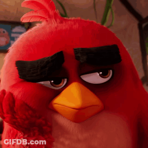 Close Up Of Red Angry Bird With Big Eyes GIF