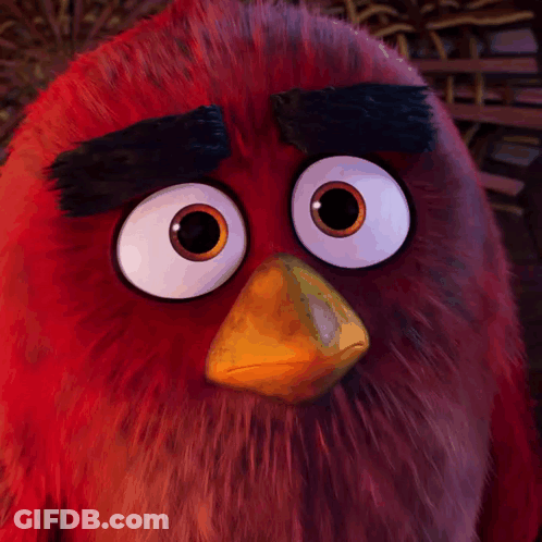 Close Up Of Red Angry Bird With Big Eyes GIF