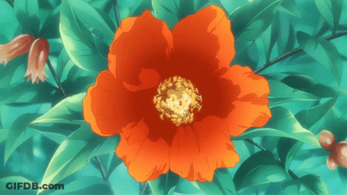 A Close Up Of A Red Flower With Green Leaves In The Background GIF