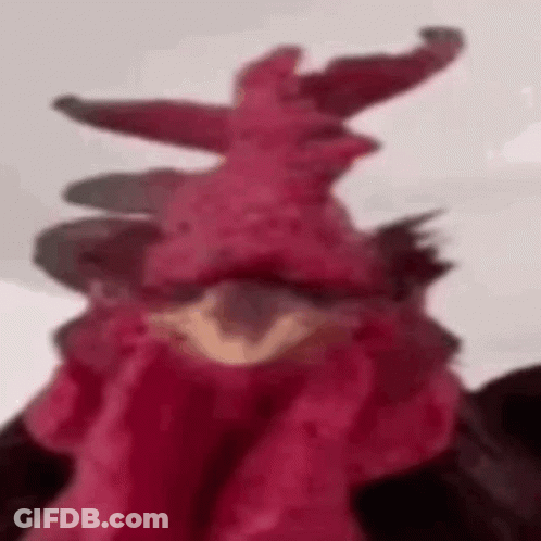 A Close Up Of A Red Rooster 'S Head With A Hat On . GIF