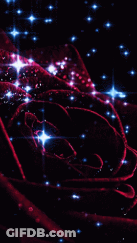 A Close Up Of A Red Rose Surrounded By Blue Lights GIF