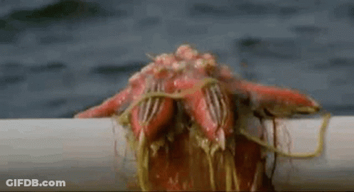 A Close Up Of A Red Starfish Sitting On Top Of A White Pipe In The Water . GIF