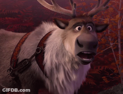 A Close Up Of A Reindeer With A Harness On GIF