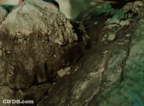 A Close Up Of A Rocky Surface With A Green Background GIF