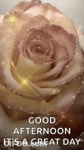 A Close Up Of A Rose With The Words `` Good Afternoon It 'S A Great Day '' On It . GIF