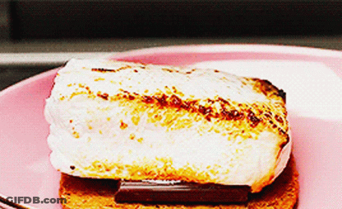 A Close Up Of A S'mores On A Plate GIF