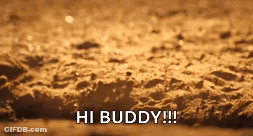 A Close Up Of A Sandy Beach With The Words `` Hi Buddy '' Written On It GIF