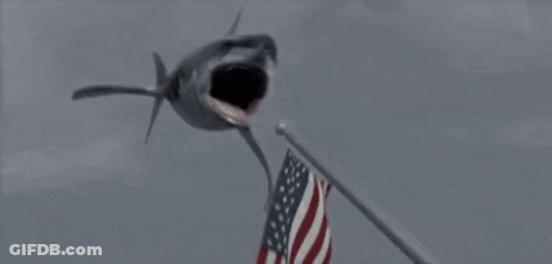 A Close Up Of A Shark Eating A Squid In The Water . GIF