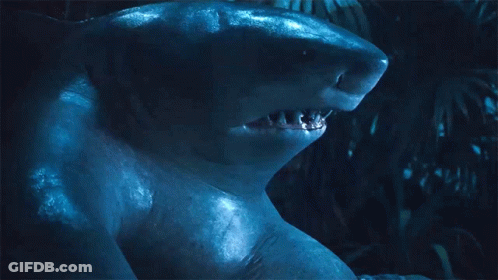 A Close Up Of A Shark 'S Face With A Dark Background GIF