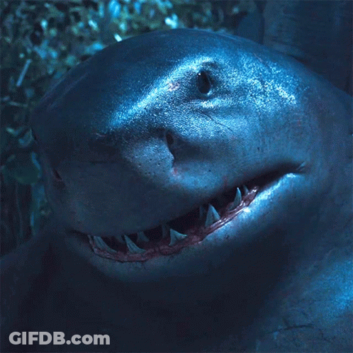 A Close Up Of A Shark 'S Face With A Hole In It GIF