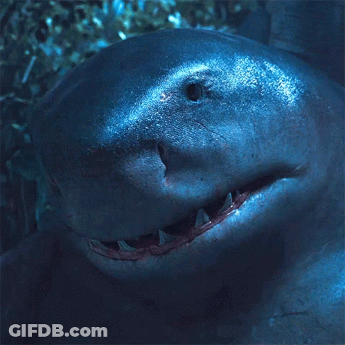 A Close Up Of A Shark 'S Face With Teeth GIF