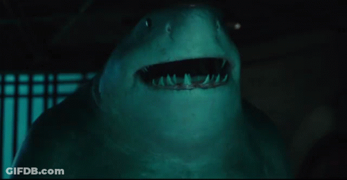 A Close Up Of A Shark With Its Mouth Open And Teeth Showing GIF