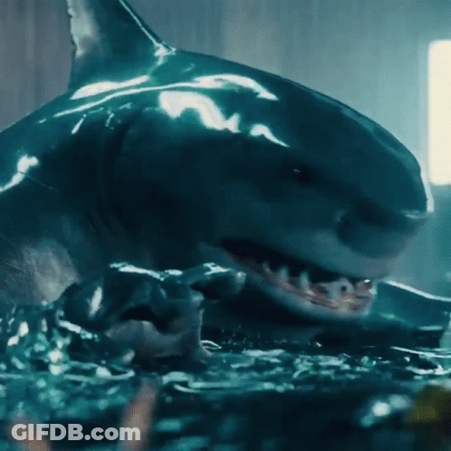 A Close Up Of A Shark With Its Mouth Open In The Water GIF