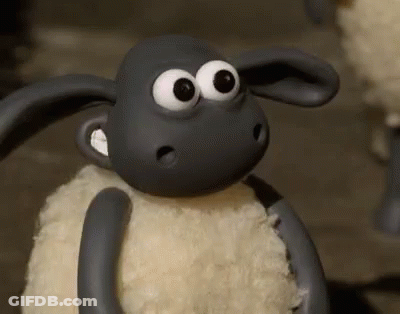 A Close Up Of A Sheep 'S Face With Big Eyes GIF