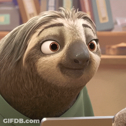 A Close Up Of A Sloth Wearing A Green Shirt And Looking At The Camera GIF
