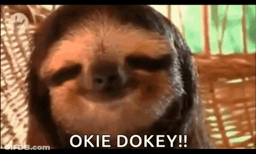 A Close Up Of A Sloth With The Words `` Okie Dokey '' Written Next To It . GIF