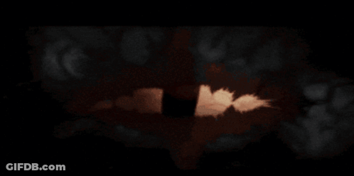 A Close Up Of A Snake 'S Eye With A Black Circle In The Middle GIF