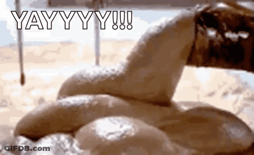 A Close Up Of A Snake 'S Tail With The Words Yay Yy Yy ! Written On It . GIF