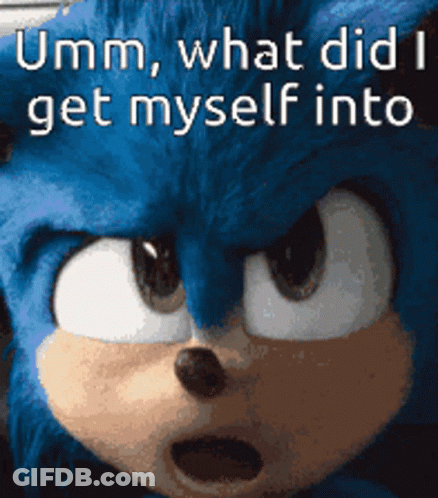 A Close Up Of A Sonic The Hedgehog With A Caption That Says Umm What Did I Get Myself Into . GIF
