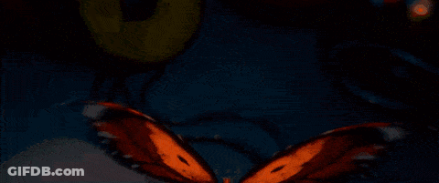 A Close Up Of A Spider 'S Face With A Mouth Open . GIF
