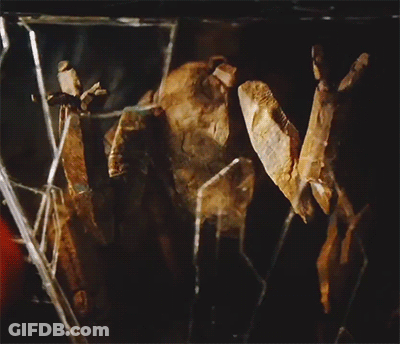 A Close Up Of A Spider Web With A Few Pieces Of Wood In It GIF
