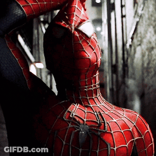 A Close Up Of A Spiderman Costume With A Spider On The Back GIF