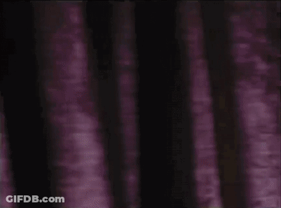 A Close Up Of A Stuffed Animal In A Dark Room With A Light Behind It . GIF