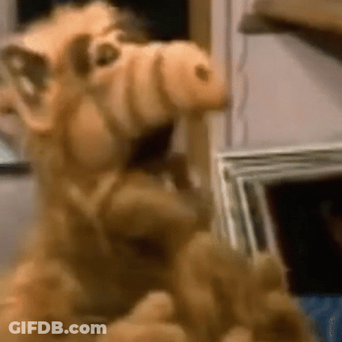 A Close Up Of A Stuffed Animal That Looks Like Alf From The Sitcom Alf From Space . GIF