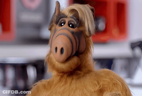 A Close Up Of A Stuffed Animal That Looks Like Alf GIF
