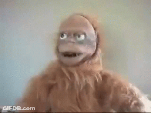 A Close Up Of A Stuffed Animal With A Beard And Big Blue Eyes . GIF