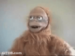 A Close Up Of A Stuffed Animal With A Beard And Big Blue Eyes . GIF