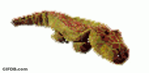 A Close Up Of A Stuffed Animal With A Long Tail . GIF