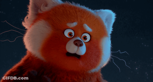 A Close Up Of A Stuffed Animal With A Surprised Look On His Face GIF