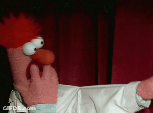A Close Up Of A Stuffed Animal With Big Eyes And A Red Beak GIF