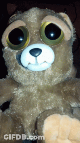 A Close Up Of A Stuffed Animal With Big Eyes And A White Nose GIF