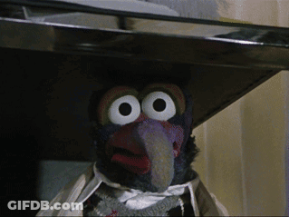 A Close Up Of A Stuffed Animal With Big White Eyes And A Long Beak GIF