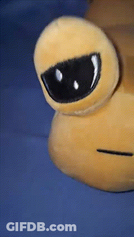 A Close Up Of A Stuffed Animal With Sunglasses On Its Eyes GIF