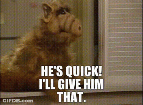 A Close Up Of A Stuffed Animal With The Words He 'S Quick I 'Ll Give Him That Written Below It GIF