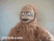 A Close Up Of A Stuffed Monkey 'S Face With Blue Eyes . GIF