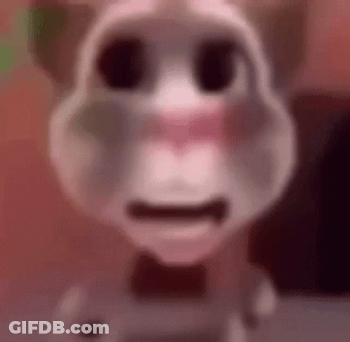 A Close Up Of A Talking Cat Wearing A Bow Tie And Making A Funny Face . GIF