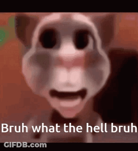 A Close Up Of A Talking Cat With The Words `` Bruh What The Hell Bruh '' . GIF