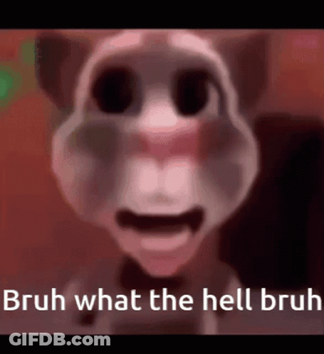 A Close Up Of A Talking Cat With The Words Bruh What The Hell Bruh Written On It . GIF